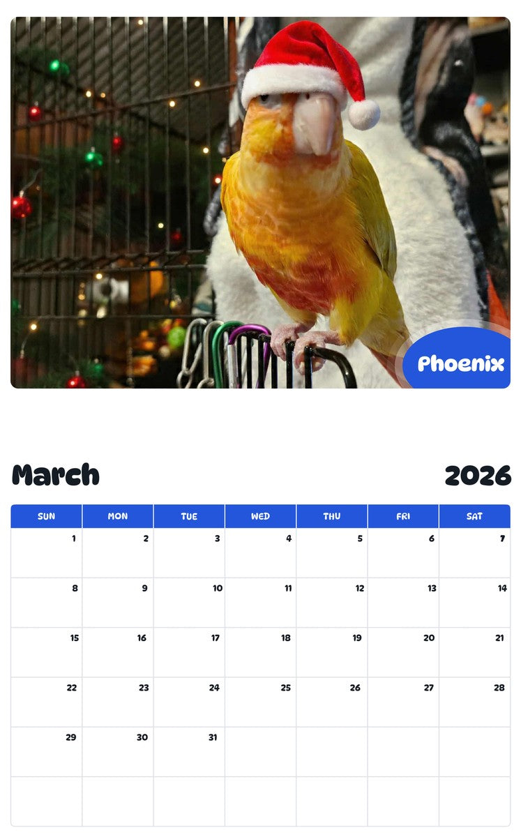 November 2025 - October 2026 Phoenix - Pawidols Pet Calendar
