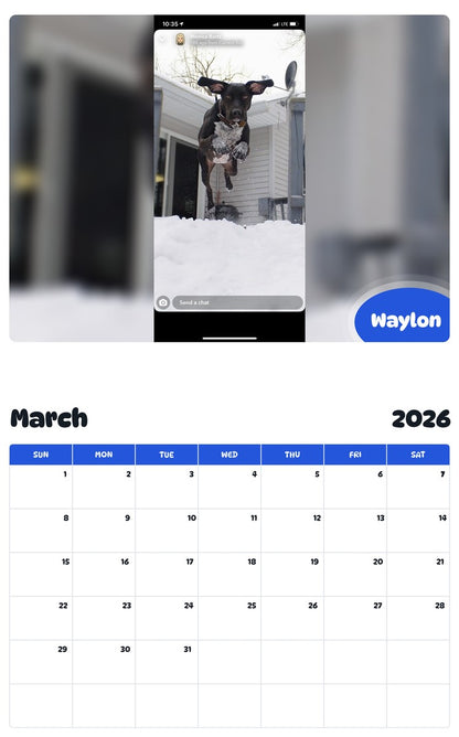November 2025 - October 2026 Waylon - Pawidols Pet Calendar
