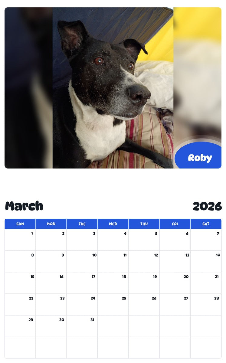 November 2025 - October 2026 Roby - Pawidols Pet Calendar