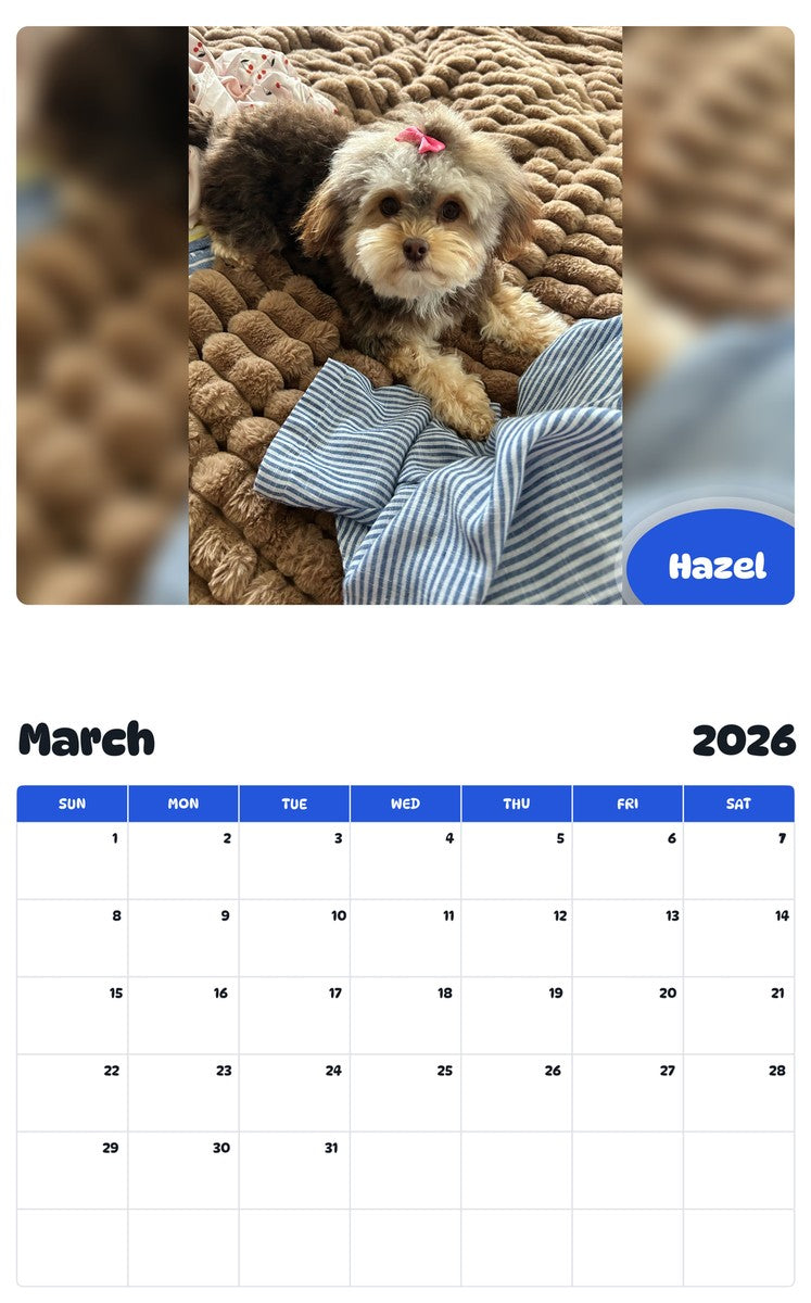 November 2025 - October 2026 Hazel - Pawidols Pet Calendar