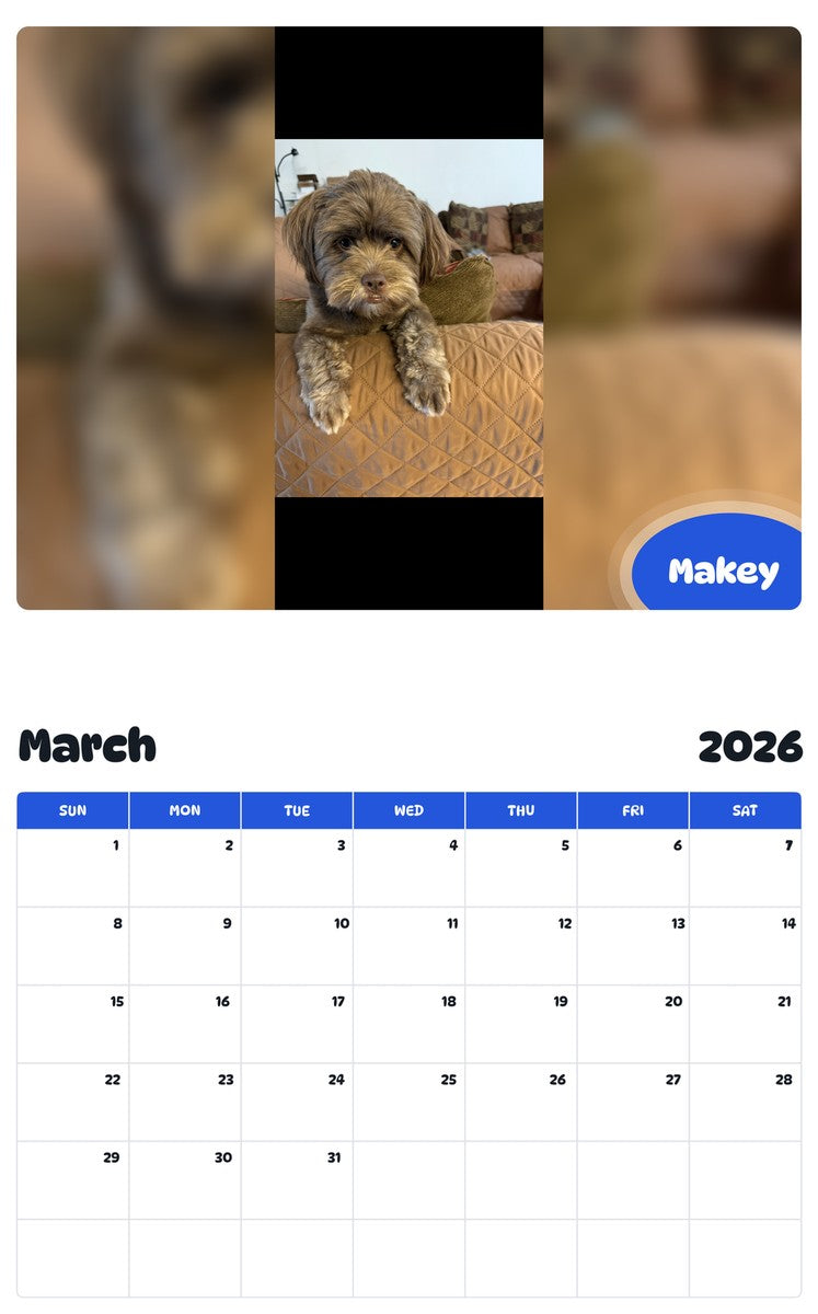 November 2025 - October 2026 Makey - Pawidols Pet Calendar