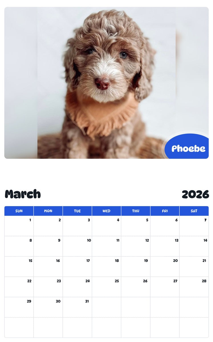 November 2025 - October 2026 Phoebe - Pawidols Pet Calendar