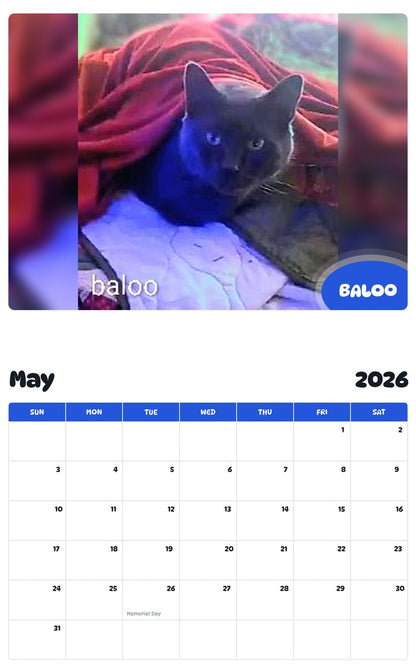 2026 - 2027 BALOO - Pawidols Pet Calendar