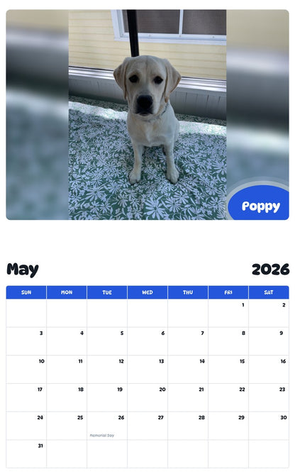 2026 - 2027 Poppy - Pawidols Pet Calendar
