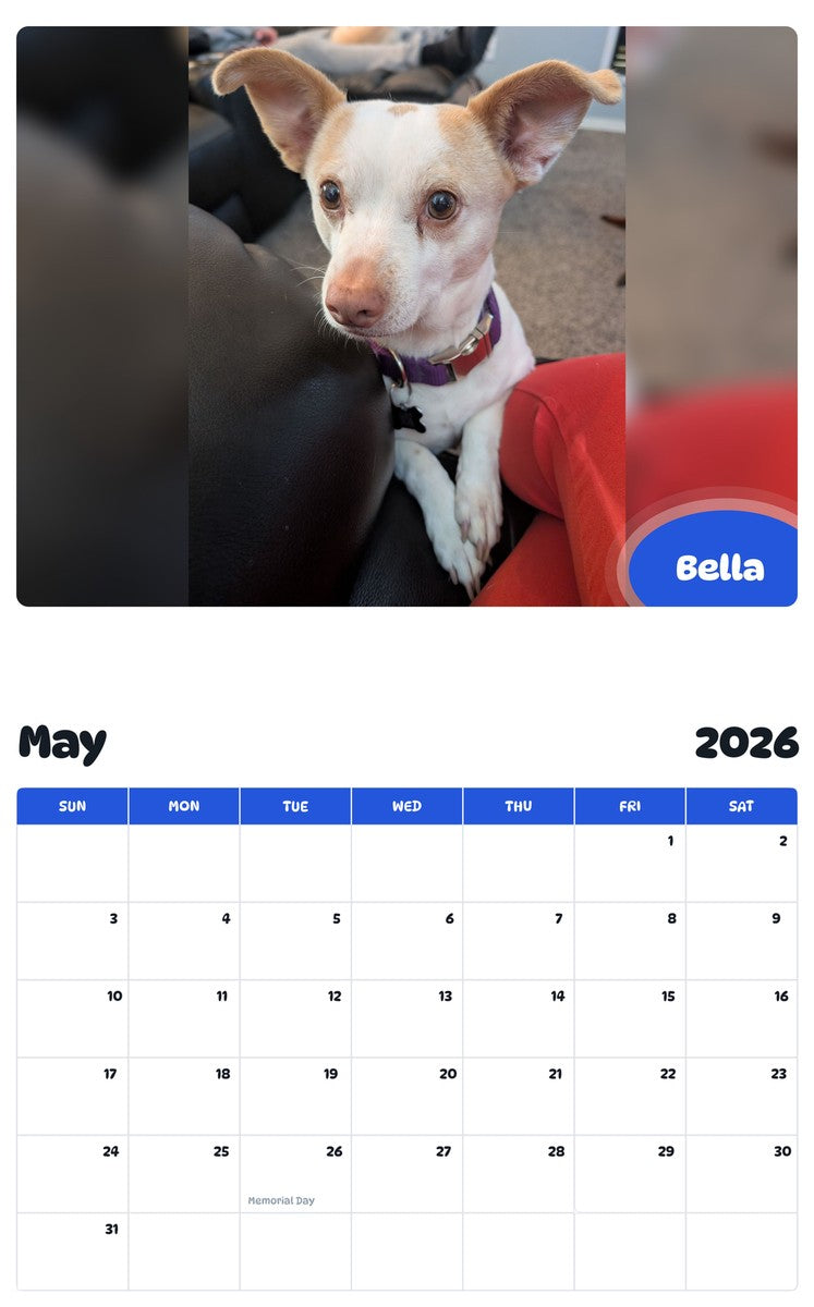 2026 - 2027 Bella - Pawidols Pet Calendar