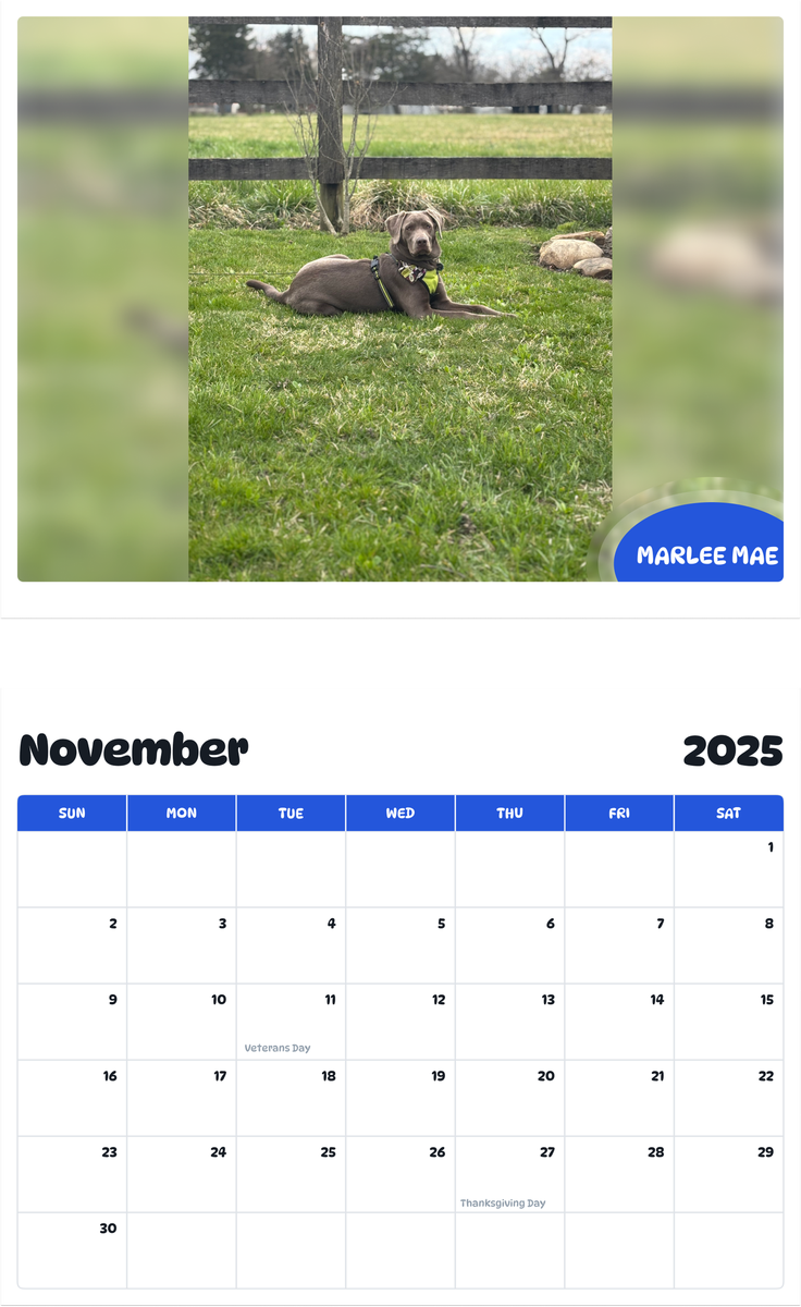 July 2025 - June 2026 Marlee Mae - Pawidols Pet Calendar
