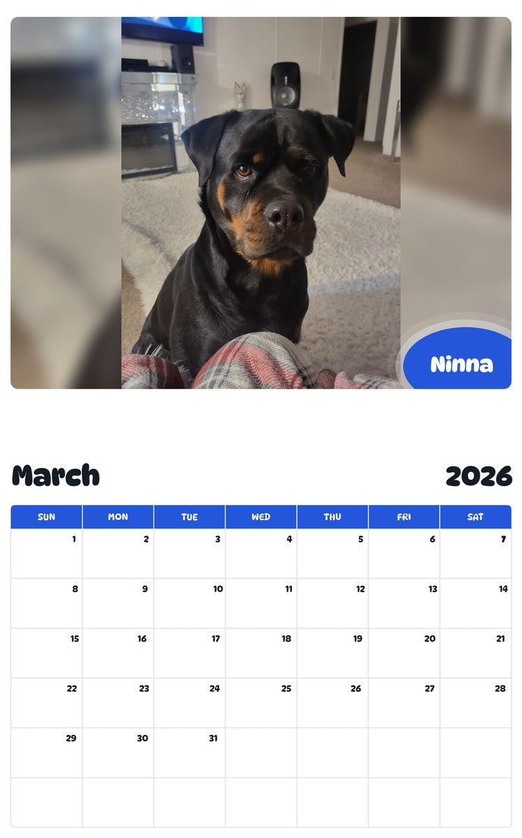 November 2025 - October 2026 Ninna - Pawidols Pet Calendar