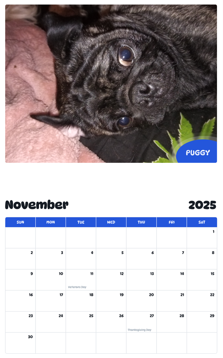 July 2025 - June 2026 Puggy - Pawidols Pet Calendar