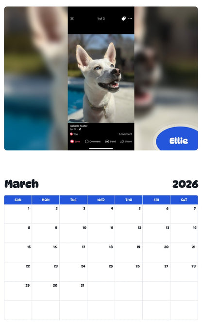 November 2025 - October 2026 Ellie - Pawidols Pet Calendar