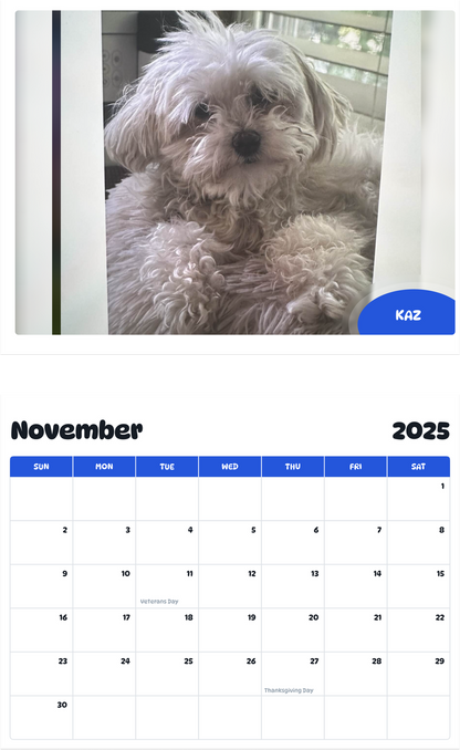 July 2025 - June 2026 Kaz - Pawidols Pet Calendar