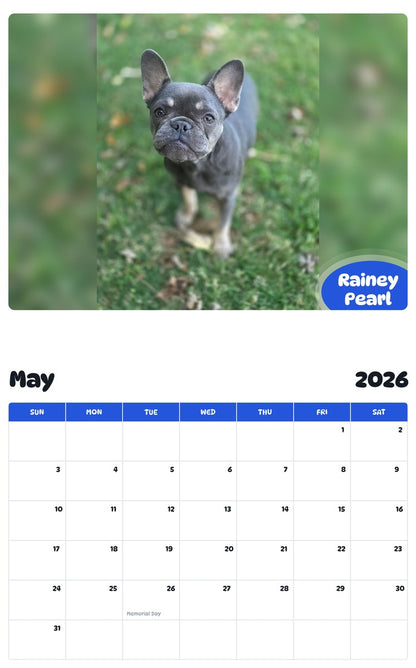 2026 - 2027 Rainey Pearl - Pawidols Pet Calendar