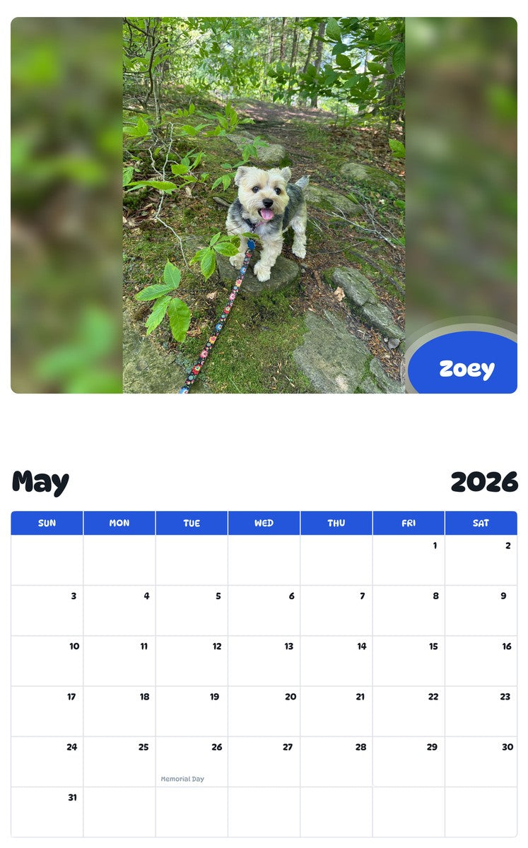 2026 - 2027 Zoey - Pawidols Pet Calendar