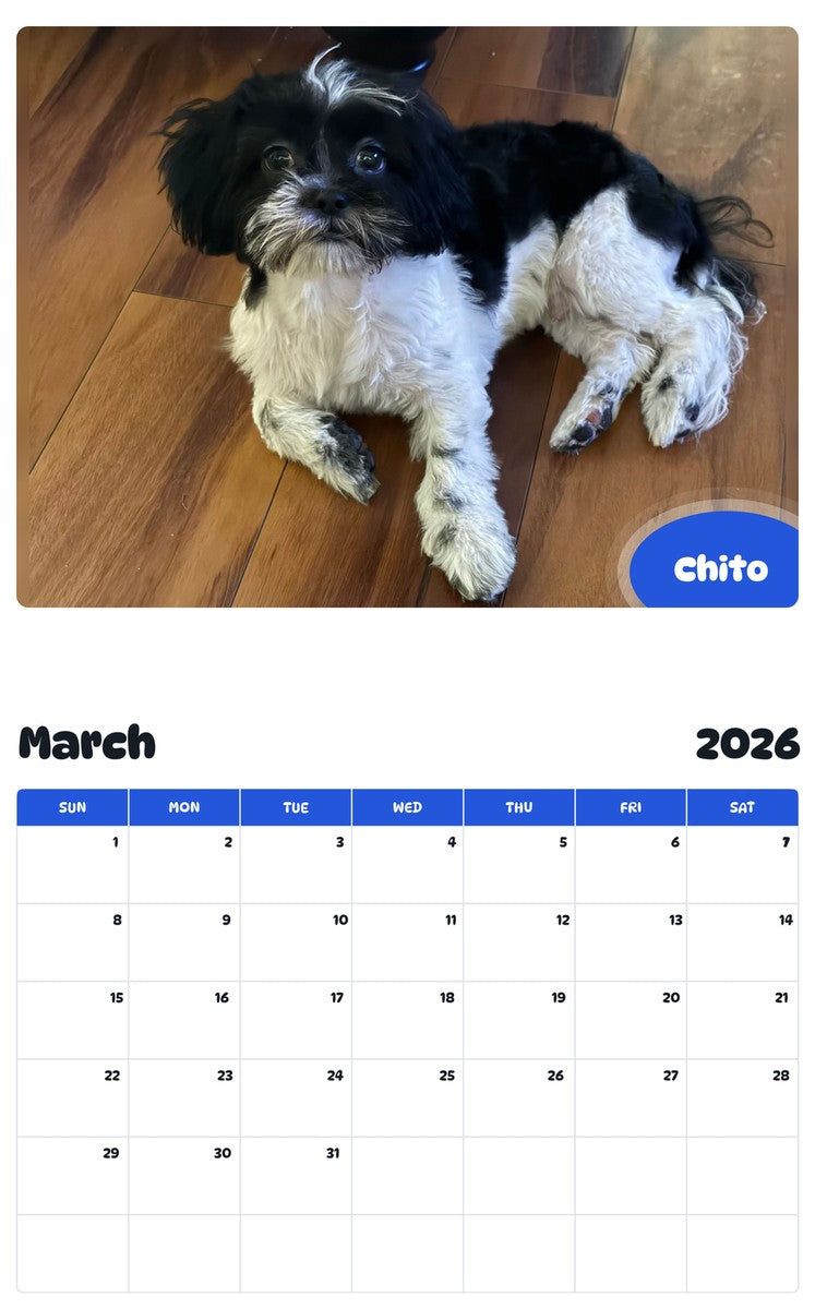 November 2025 - October 2026 Chito - Pawidols Pet Calendar