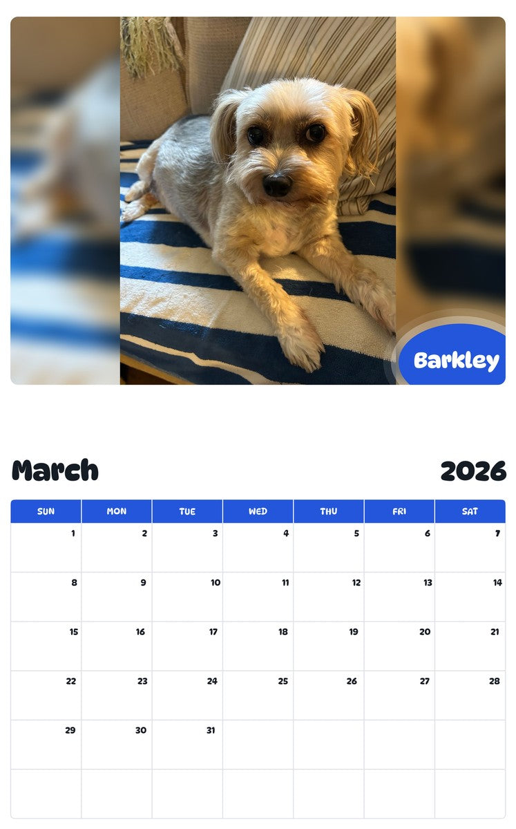 November 2025 - October 2026 Barkley - Pawidols Pet Calendar