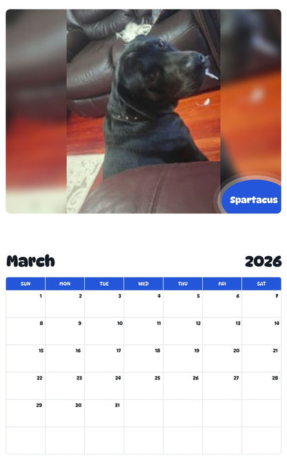 November 2025 - October 2026 Spartacus - Pawidols Pet Calendar