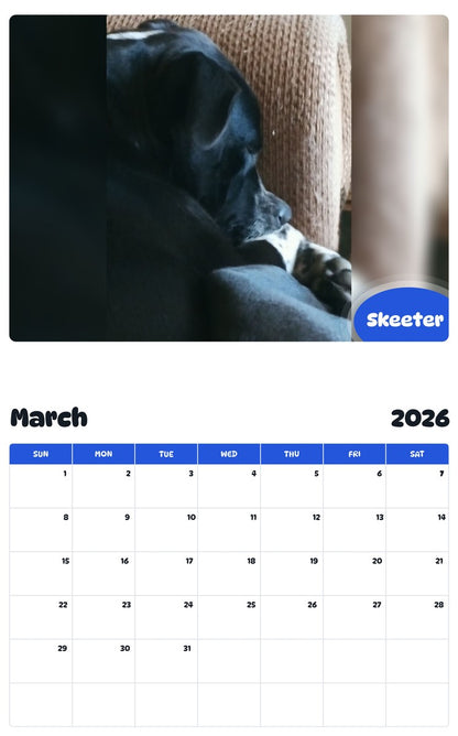 November 2025 - October 2026 Skeeter - Pawidols Pet Calendar