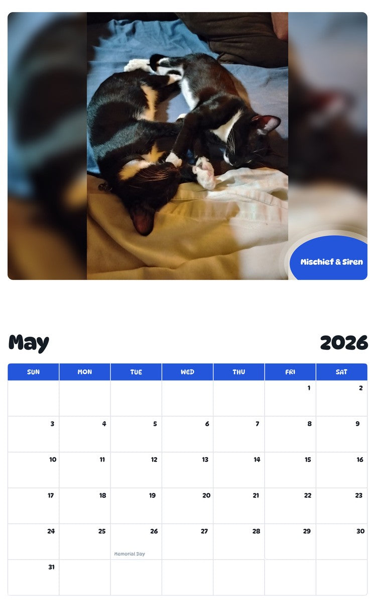 2026 - 2027 Mischief & Siren - Pawidols Pet Calendar