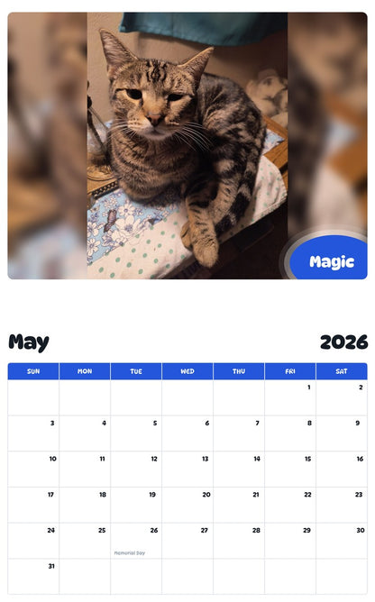 2026 - 2027 Magic - Pawidols Pet Calendar