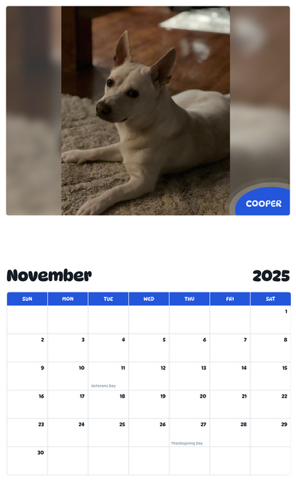 July 2025 - June 2026 Cooper - Pawidols Pet Calendar