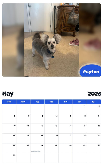 2026 - 2027 Peyton - Pawidols Pet Calendar