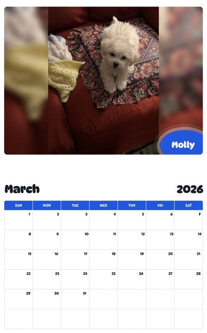 November 2025 - October 2026 Molly - Pawidols Pet Calendar
