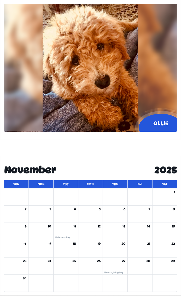 July 2025 - June 2026 Ollie - Pawidols Pet Calendar