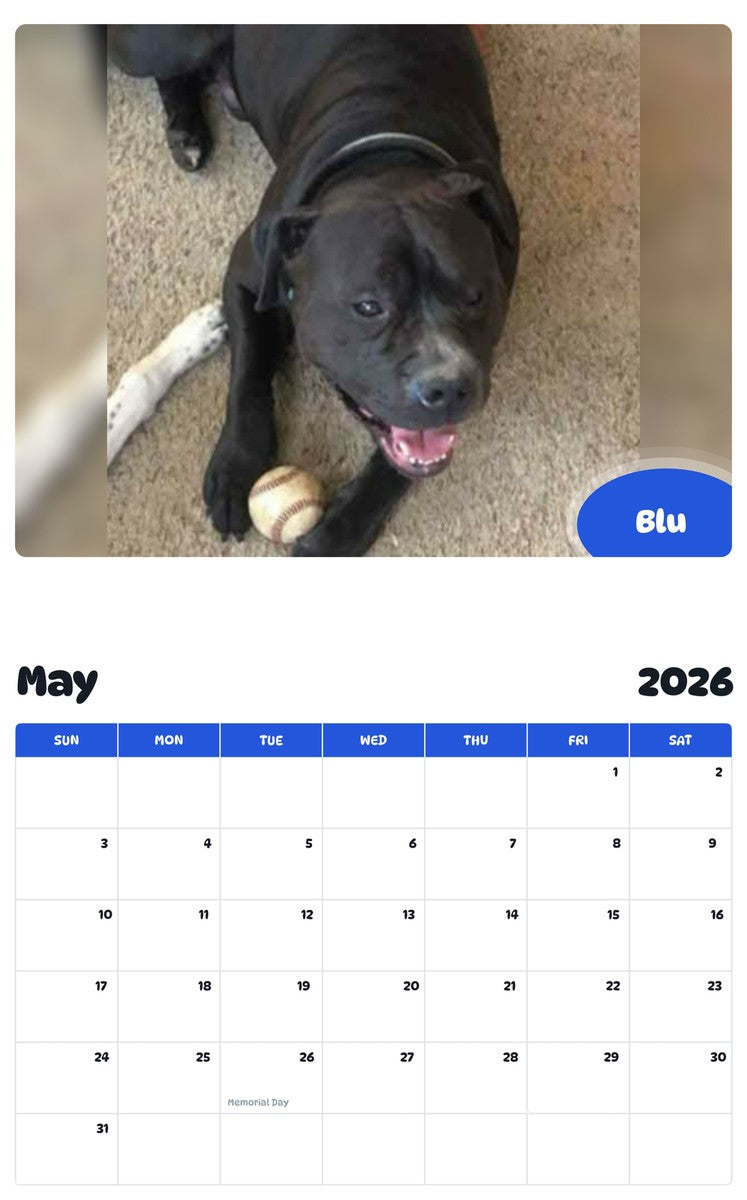 2026 - 2027 Blu - Pawidols Pet Calendar