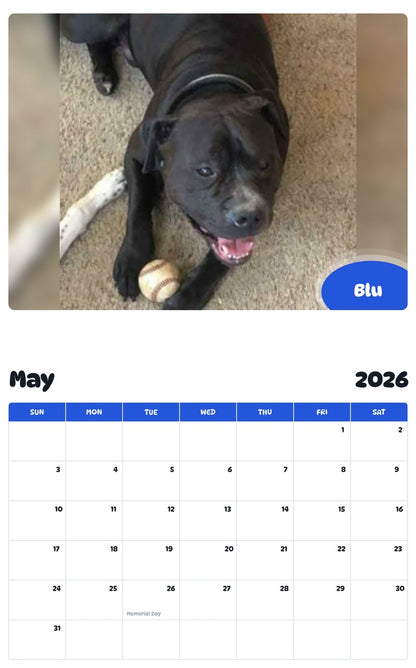 2026 - 2027 Blu - Pawidols Pet Calendar
