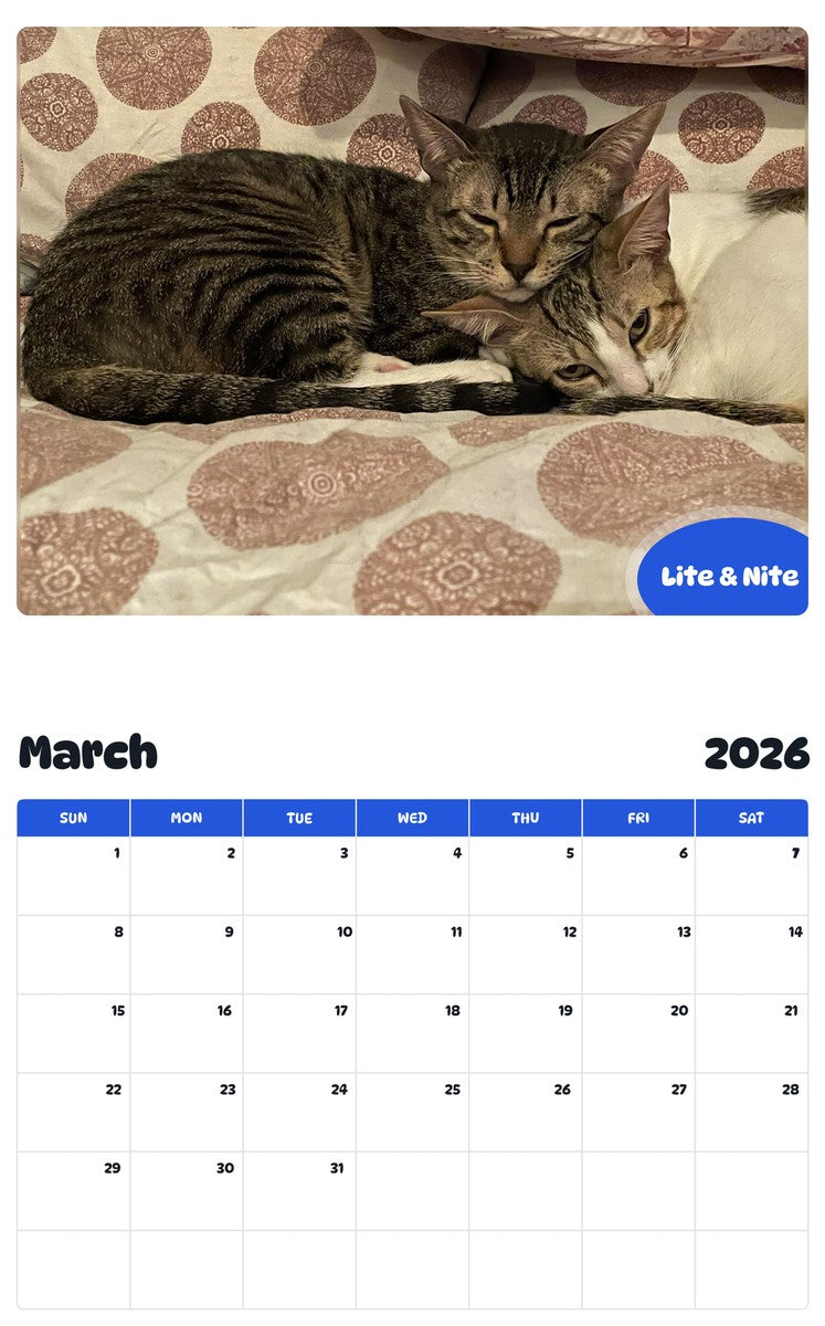 November 2025 - October 2026 Lite & Nite - Pawidols Pet Calendar