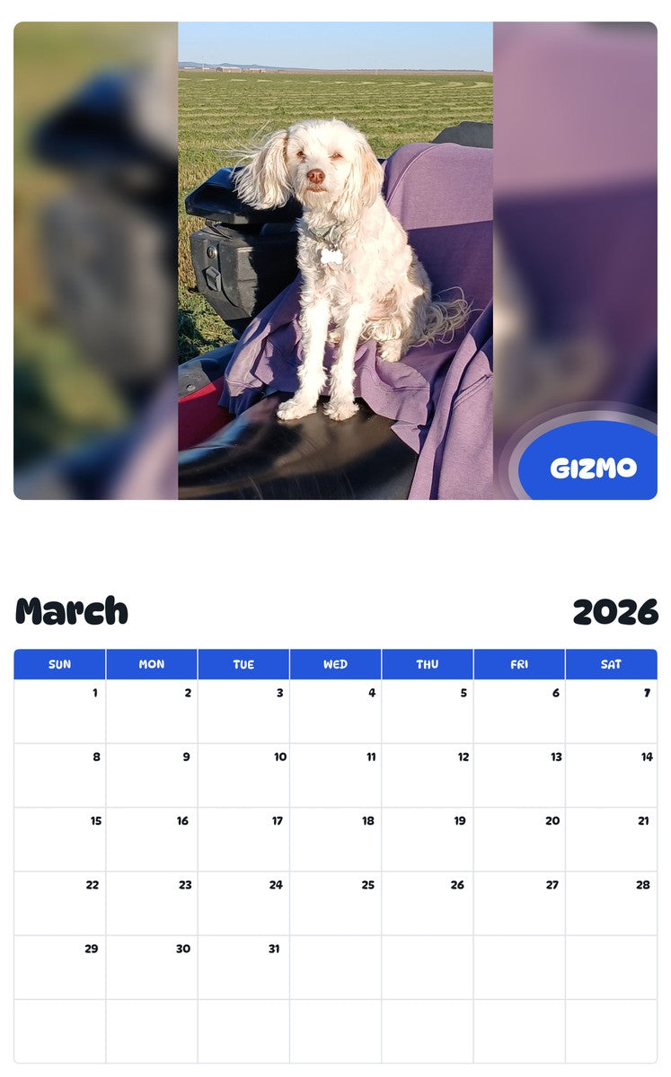 November 2025 - October 2026 GIZMO - Pawidols Pet Calendar