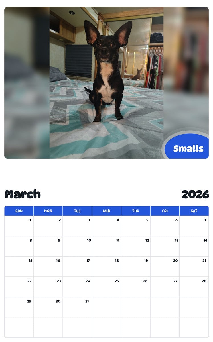 November 2025 - October 2026 Smalls - Pawidols Pet Calendar