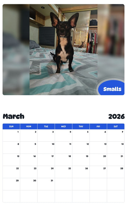 November 2025 - October 2026 Smalls - Pawidols Pet Calendar