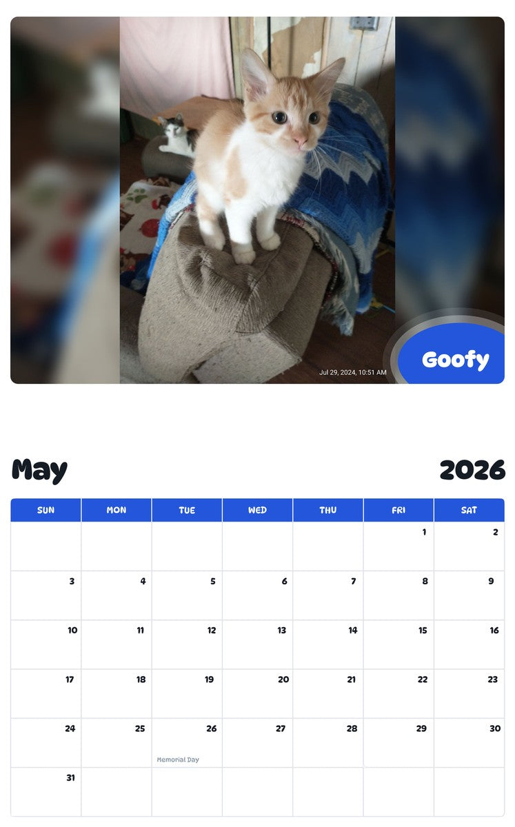 2026 - 2027 Goofy - Pawidols Pet Calendar