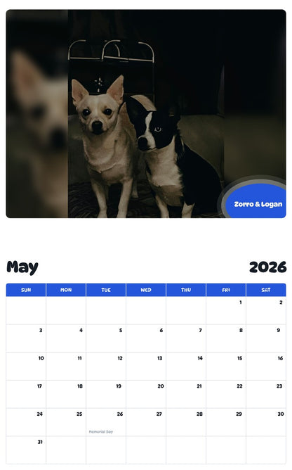 2026 - 2027 Zorro & Logan - Pawidols Pet Calendar