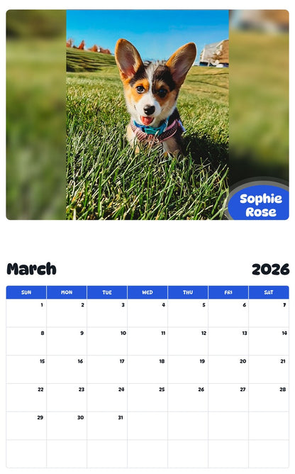 November 2025 - October 2026 Sophie Rose - Pawidols Pet Calendar