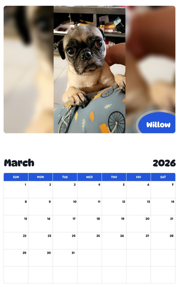 November 2025 - October 2026 Willow - Pawidols Pet Calendar