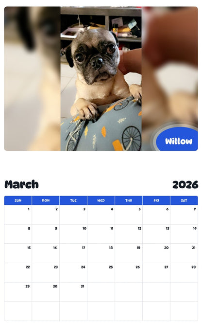 November 2025 - October 2026 Willow - Pawidols Pet Calendar