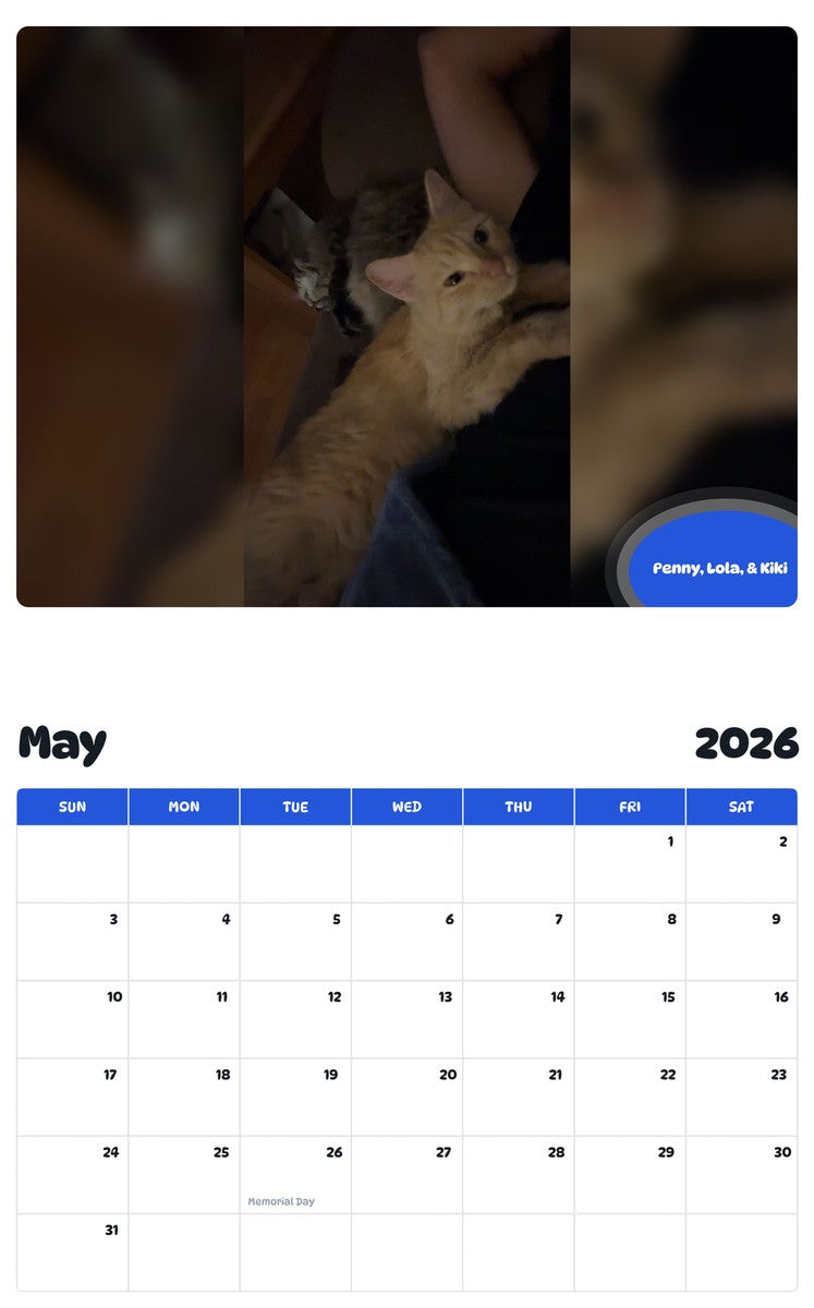 2026 - 2027 Penny, Lola, & Kiki - Pawidols Pet Calendar