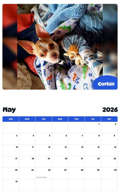 2026 - 2027 Corbin - Pawidols Pet Calendar