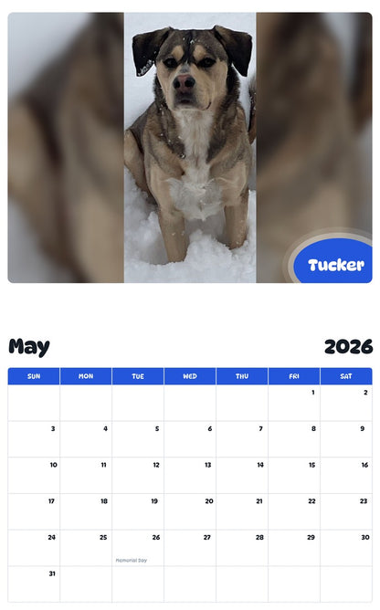 2026 - 2027 Tucker - Pawidols Pet Calendar