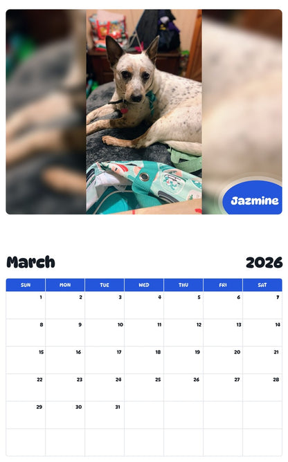 November 2025 - October 2026 Jazmine - Pawidols Pet Calendar