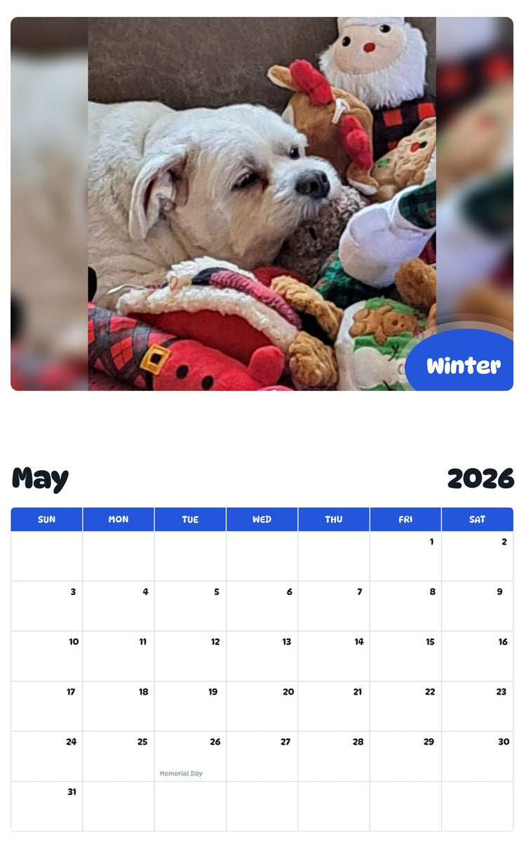 2026 - 2027 Winter - Pawidols Pet Calendar