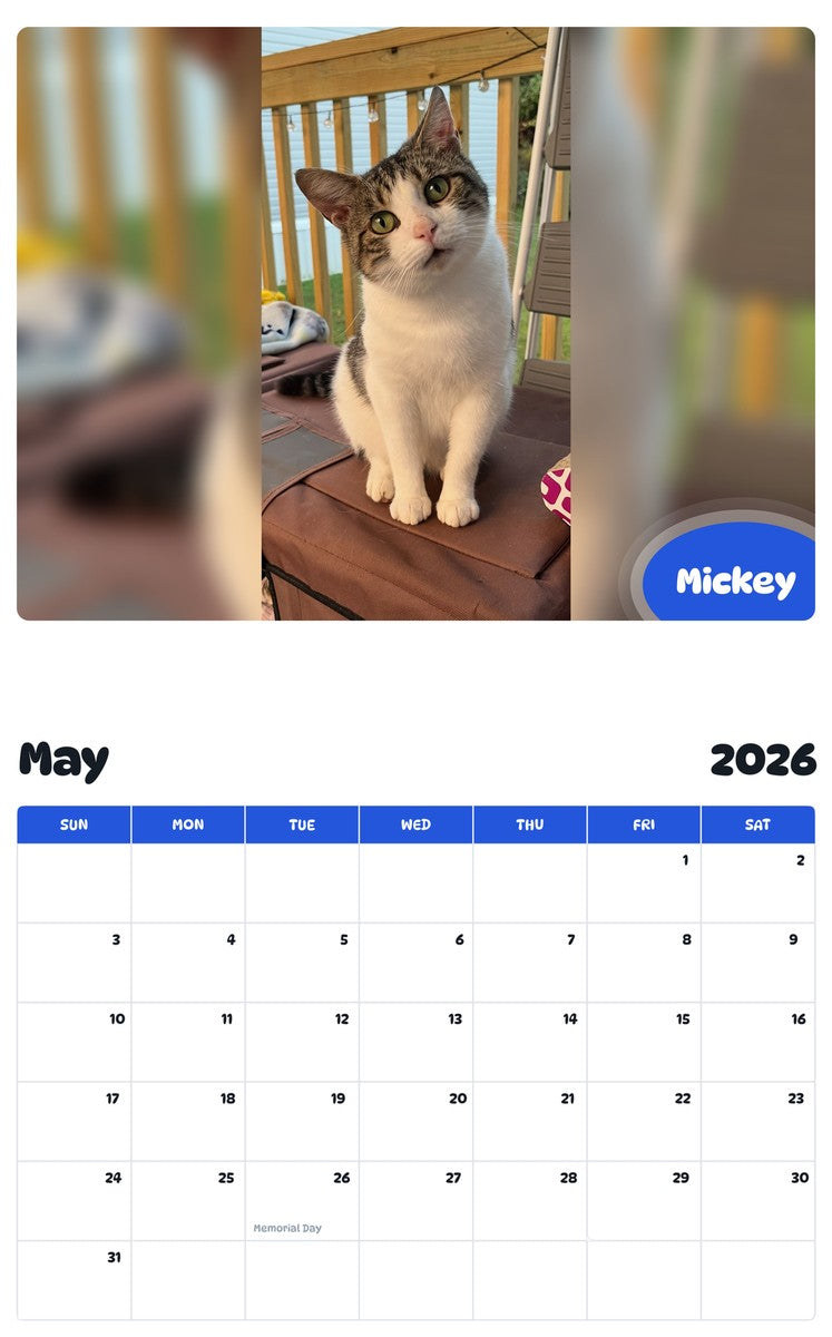 2026 - 2027 Mickey - Pawidols Pet Calendar