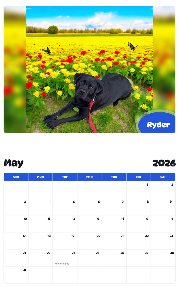2026 - 2027 Ryder - Pawidols Pet Calendar