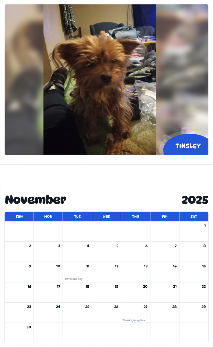 July 2025 - June 2026 Tinsley - Pawidols Pet Calendar