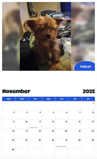 July 2025 - June 2026 Tinsley - Pawidols Pet Calendar