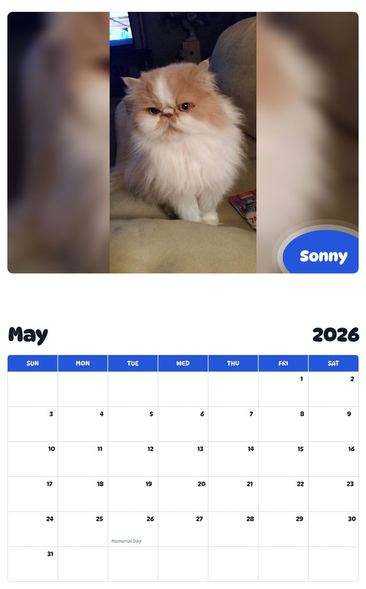 2026 - 2027 Sonny - Pawidols Pet Calendar