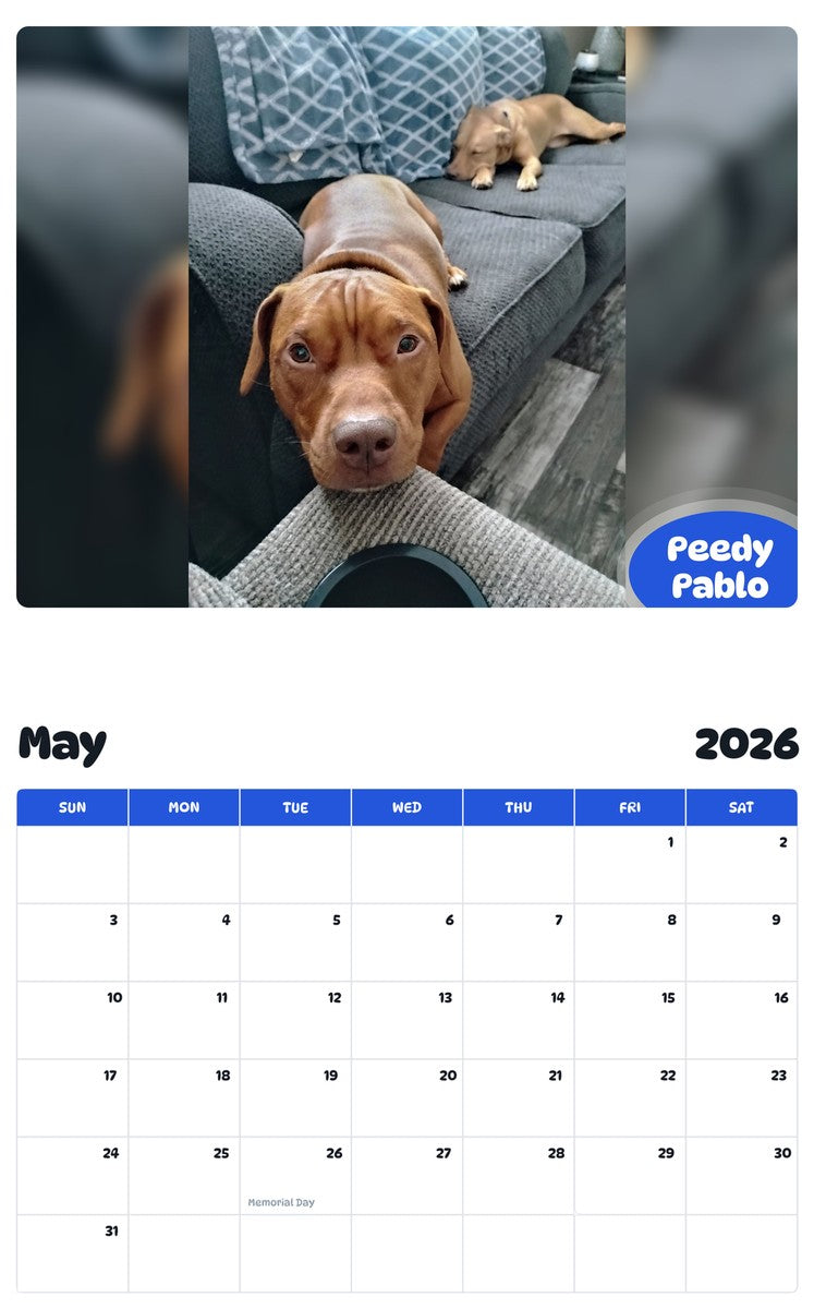 2026 - 2027 Peedy Pablo - Pawidols Pet Calendar