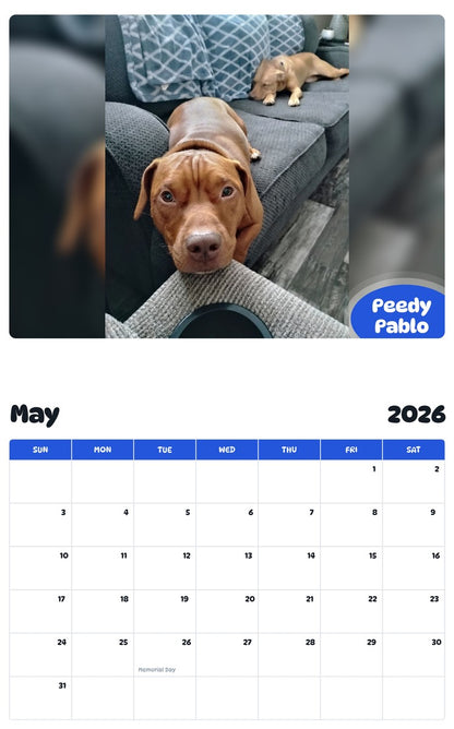 2026 - 2027 Peedy Pablo - Pawidols Pet Calendar