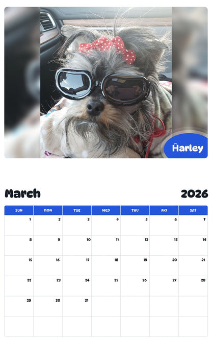November 2025 - October 2026 Ĥarley - Pawidols Pet Calendar